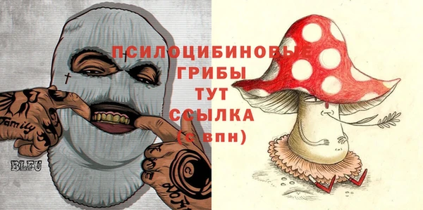 метадон Арсеньев